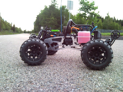 lrp5.jpg