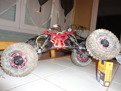 crawlers 001.JPG